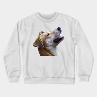 i love dog Crewneck Sweatshirt